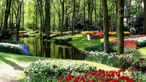 Jardín-Keukenhof-Holanda-jardineria-terrassa