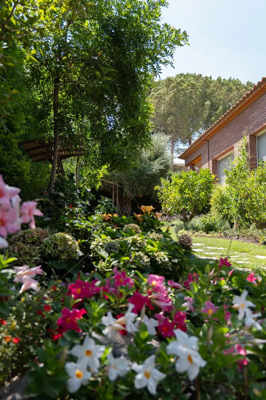 Jardín frondoso mantenido con vegetación ornamental