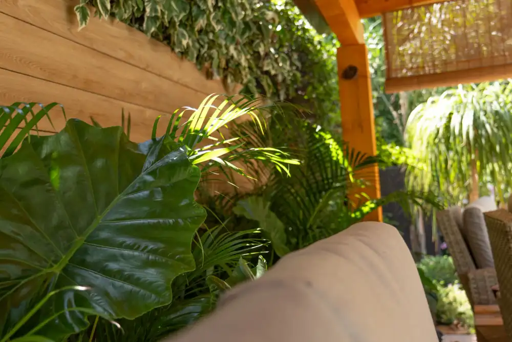 Jardín terminado con composición vegetal duradera