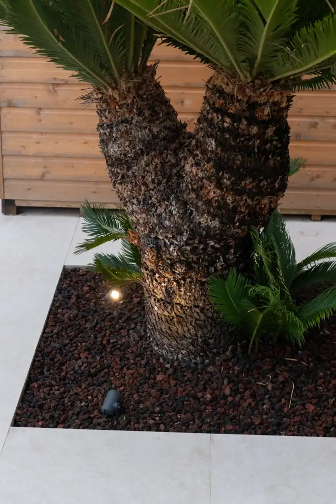 Árbol y vegetación destacados con luz exterior puntual