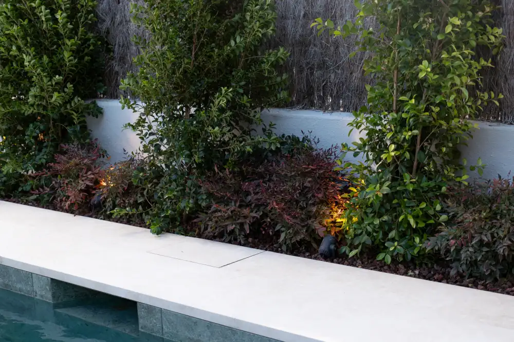 Piscina y zona ajardinada con iluminación puntual integrada