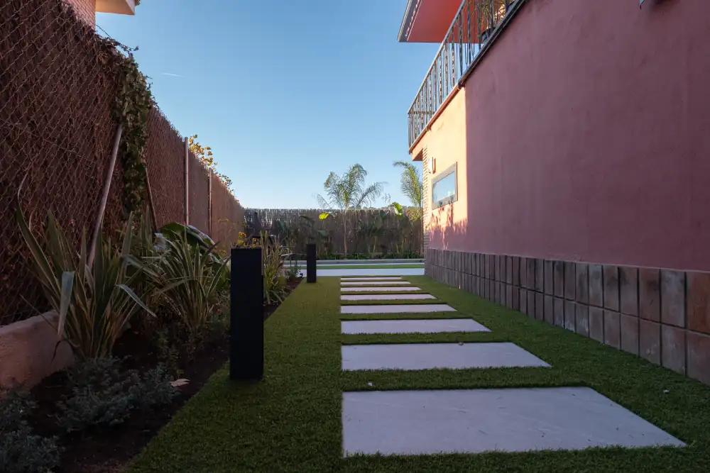 Plantas que Purifican el Aire para tu Jardín o Terraza