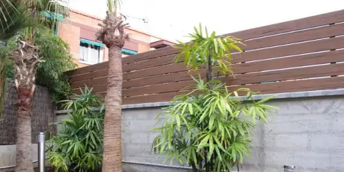 Jardinería exterior combinada con cerramiento y vegetación ornamental
