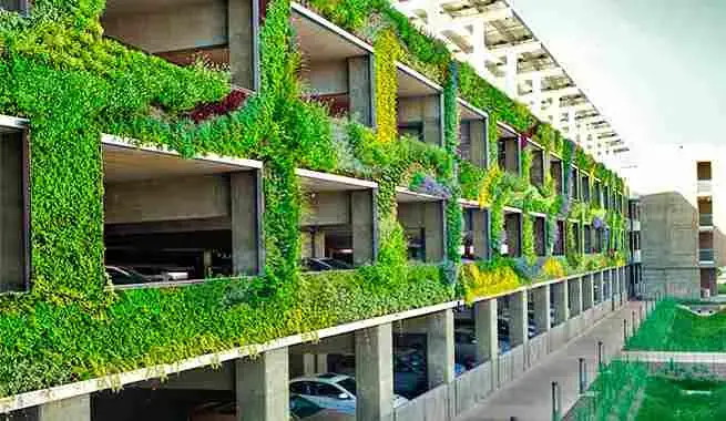 Jardín en Sant Cugat con vegetación y zonas de estancia bien ordenadas