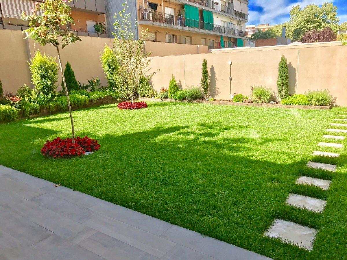 Enraizante natural: Truco para los jardineros de Barcelona - Empresa de