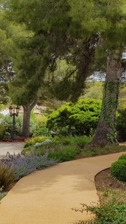 cesped natural jardin